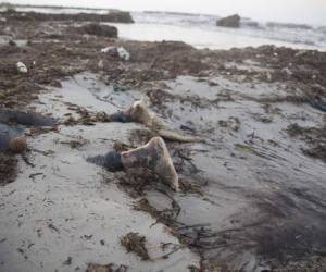 95 cadáveres de inmigrantes aparecen en la costa