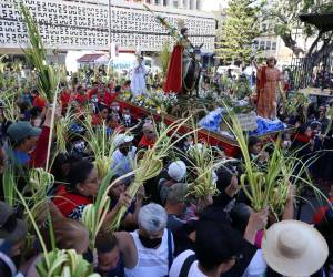 Concurrida participación de feligreses capitalinos tuvo ayer la procesión de ramos que culminó en la Catedral Metropolitana de Tegucigalpa.