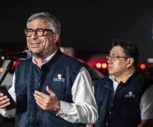 Minutos después de publicarse la carta de dimisión, el pleno de la JNJ aceptó su renuncia por unanimidad y comunicó del acuerdo a los organismos del sistema electoral peruano.