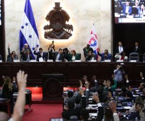 Con el apoyo de todas las bancadas del Congreso Nacional se logró aprobar estas amnistías que son de mucha importancia para el beneficio de los hondureños.