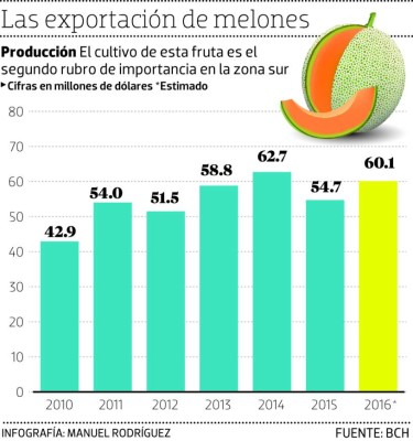 Millonarias pérdidas deja la mosca blanca en cultivos de melón