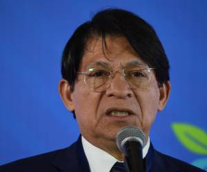 En esta foto de archivo, el canciller nicaragüense Denis Moncada habla con la prensa en el marco de la Reunión Ministerial del Buró de Coordinación del Movimiento de Países no Alineados en Caracas, Venezuela.