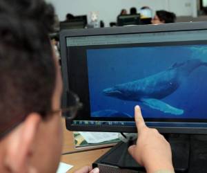 Los jóvenes son invitados a jugar mediante Facebook.