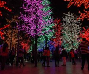 Visitante toma fotos de los árboles de Navidad iluminados por luces LED en la víspera de Navidad en Shah Alam, fuera de Kuala Lumpur. A pesar de tener una mayoría musulmana dominada por los malayos étnicos, un gran porcentaje de minorías étnicas en Malasia celebran Navidad como Una fiesta religiosa (Foto: AP/ El Heraldo Honduras/ Noticias de Honduras)