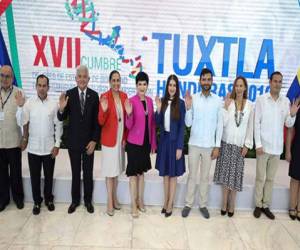 La XVII Cumbre cuenta con la participación de jefes de Estado y Gobierno junto a las delegaciones oficiales de los 10 estados miembros del Mecanismo de Tuxtla: Honduras, México, Belice, El Salvador, Guatemala, Costa Rica, República Dominicana, Panamá, Nicaragua y Colombia.