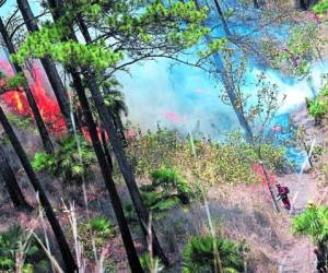 Nuevamente los alrededores de la capital estaban amenazados por los incendios forestales.