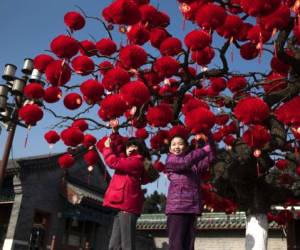 Miles de chinos celebran la llegada del Año Nuevo Lunar o Fiesta de la Primavera pidiéndole prosperidad al gallo de oro (Foto: AFP/ El Heraldo Honduras/ Noticias de Honduras)
