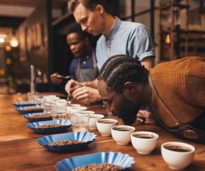 <i>Durante este certamen, productores de café de diferentes regiones presentan sus mejores lotes, los cuales son evaluados por un panel de catadores expertos.</i>