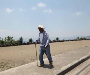 El pronóstico indica máximas de 31 a 32 grados en el Distrito Central durante la semana, con variaciones leves pero condiciones de calor persistente en la ciudad.