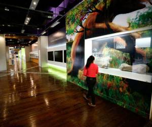 El MIN expone la historia del país en una sala interactiva, es el epicentro de eventos culturales.