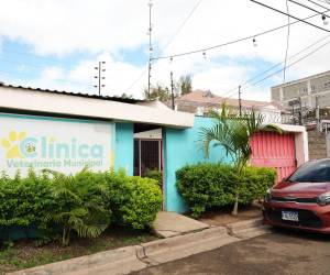 Veterinaria municipal asistiió a 2,858 mascotas en lo que va del año