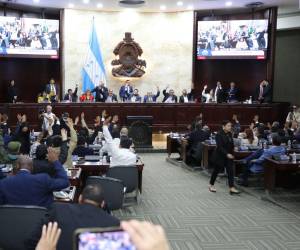 Tras unas largas vacaciones, el 16 de enero los diputados aprobaron con 72 votos la amnistía vehicular y energética.