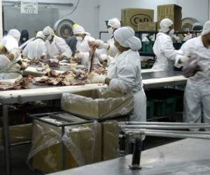 El cierre de la empresa impacta fuertemente en la economía de los hondureños, en particular de los habitantes de Catacamas.