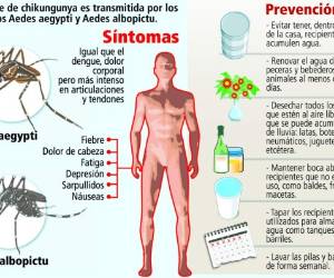Lo que debe saber del chikungunya.