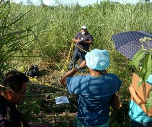 En una plantación en Armenia Bonito fueron encontrados los dos cuerpos.
