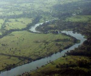 Toma aérea de parte de la Biósfera del Río Plátano. Foto EL HERALDO