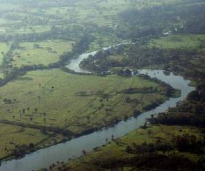 Toma aérea de parte de la Biósfera del Río Plátano. Foto EL HERALDO