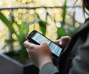 WhatsApp permite a los usuarios intercambiar diversos archivos multimedias. Foto: Pixabay
