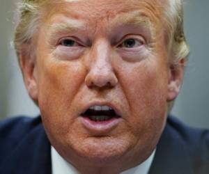 'Abres la canilla y no sale nada de agua. Toman una ducha y el agua sale de a gotas. Salen gotas, gotea muy tranquilamente', dijo Trump. FOTO: AFP