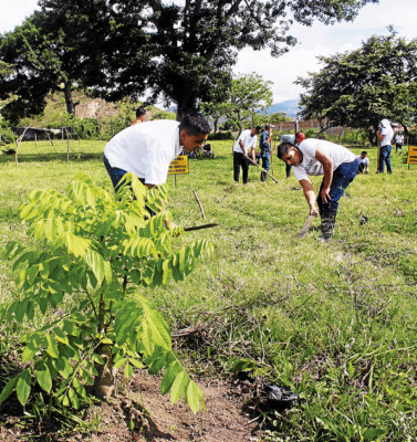 Protectores del ambiente