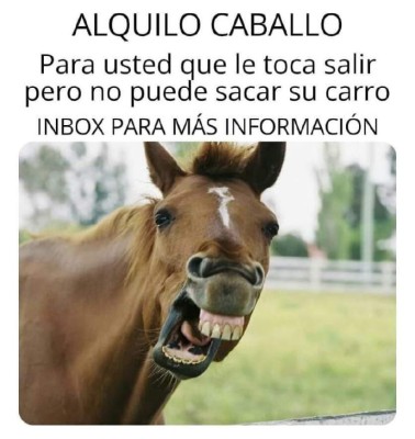 Los divertidos memes por nuevas medidas de circulación en Honduras