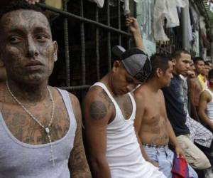 En El Salvador hay entre 30.000 y 60.000 integrantes de pandillas (AP).