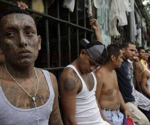 Las pandillas formularon el nuevo llamamiento a sus bandas para que detengan los asesinatos.