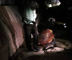 Personas a quienes le robaron caballos llegaron para verificar si eran de su propiedad los animales destazados en el embaulado. Foto: Alex Pérez/EL HERALDO.