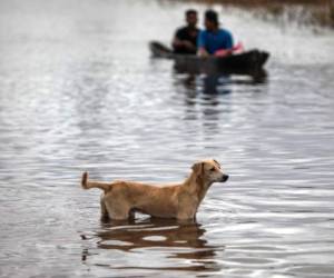 En lo que va de noviembre, los ahora disipados Eta y Iota embistieron Centroamérica como huracanes. Foto: Agencia AFP.