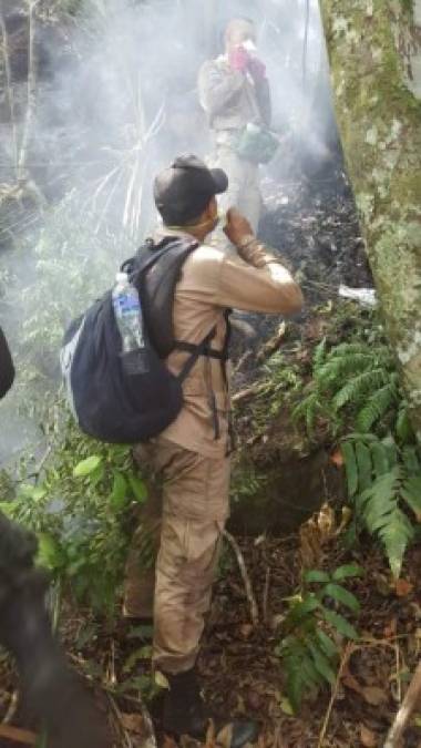 Las primeras imágenes del incendio forestal en la montaña Pico Bonito