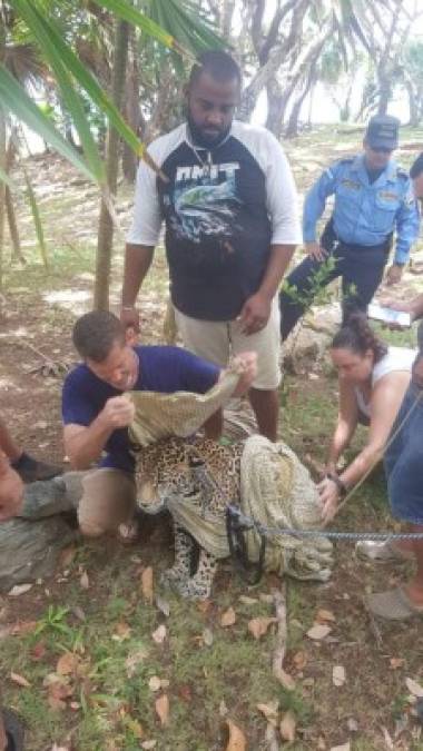 Las imágenes más impactantes del incendio en un centro turístico de Roatán