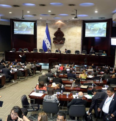 Proponen en el CN declarar un día de lucha contra el zika