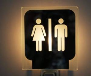 Los demandantes acusan a las autoridades federales de intentar 'transformar los lugares de trabajo y enseñanza en gigantescos laboratorios de experimentación social, eludiendo la vía democrática y despreciando medidas de sentido común que protegen a los niños y los derechos fundamentales'.