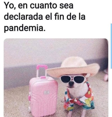 Los mejores memes que dejó este 2020