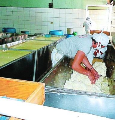 La producción interna de leche superará 900 millones de litros