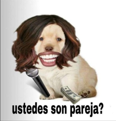 Los divertidos memes del perrito que han causado furor en Facebook