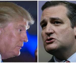 La encuesta muestra que Cruz supera a Trump por un margen sustancial entre los miembros del Tea Party, cristianos evangelistas y votantes que se identifican como 'muy conservadores'.