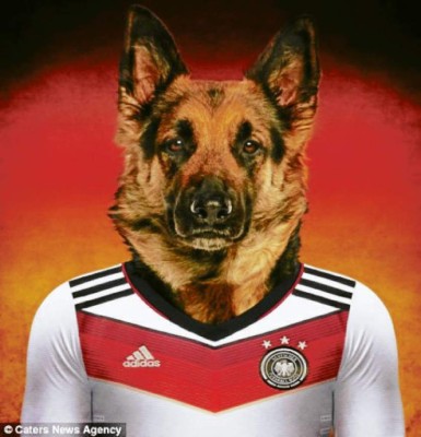 El mundial se pone de 'perros”