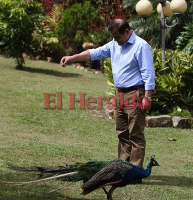 FOTOS: Las facetas de Romeo Vásquez Velásquez que debes conocer