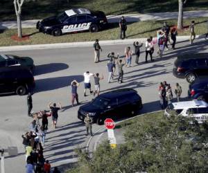 La ley 7026 no prohíbe la compra y venta de fusiles semiautomáticos como el AR-15 que utilizó Nikolas Cruz para masacrar 17 personas el 14 de febrero en una escuela en Parkland (al norte de Miami), ni limita la compraventa de cargadores de alta capacidad.