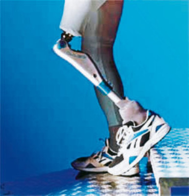 2012 cargado de novedades