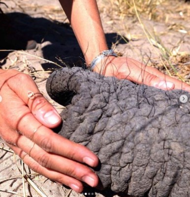 Meghan y Harry comparten fotografías inéditas de viaje a África