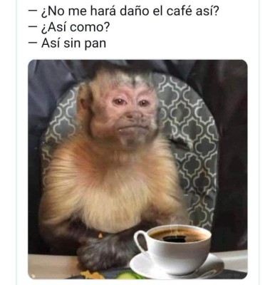 Estos fueron los mejores memes que marcaron el 2021 (FOTOS)