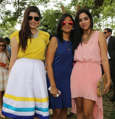 Unen sus vidas en una romántica ceremonia civil