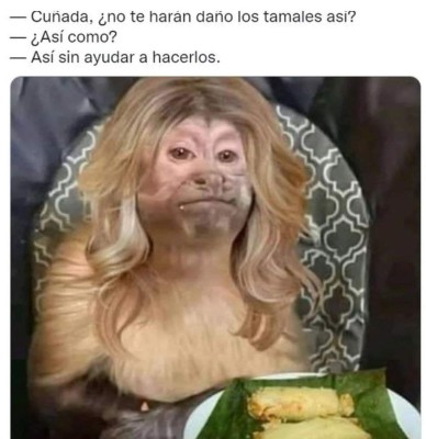 Estos fueron los mejores memes que marcaron el 2021 (FOTOS)