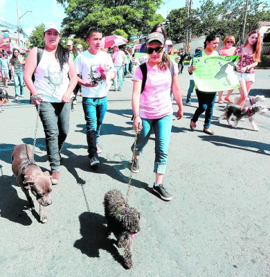 Tres años de cárcel por maltratar los animales