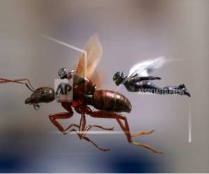Esta imagen facilitada por Marvel Studios muestra al Hombre Hormiga y la Avispa en una escena de la cinta “Ant-Man and the Wasp”.