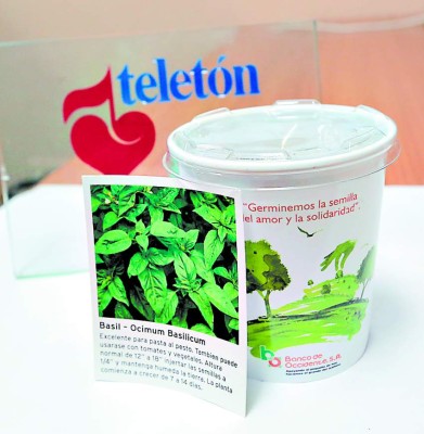 Productos solidarios con la Teletón ya están disponibles