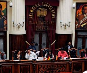 Bolivian legislators meet during a session of the Legislative Assembly in which the regulation for the election of members of the Supreme Electoral Tribunal (TSE) was approved in La Paz on November 28, 2019. (Photo by JORGE BERNAL / AFP)