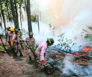 Un grupo de bomberos lucha por apagar un incendio en una montaña del Distrito Central.